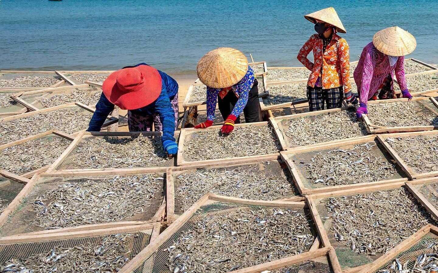 Usaha pengeringan hasil laut
